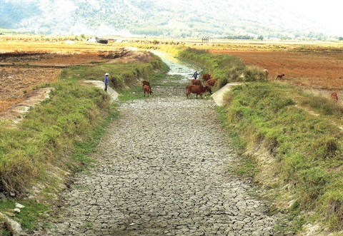 L’or bleu, une ressource en voie de disparition ảnh 2 L’or bleu, une ressource en voie de disparition ảnh 2