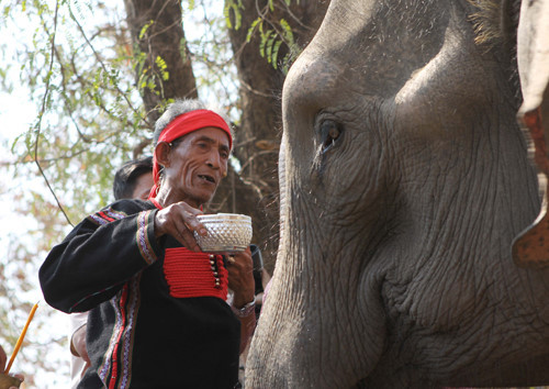 Les éléphants chez les M’Nong ảnh 1 Les éléphants chez les M’Nong ảnh 1