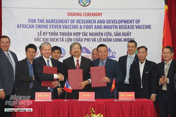 Signature d'un accord de coopération sur la production de vaccins contre la peste porcine africaine ảnh 1