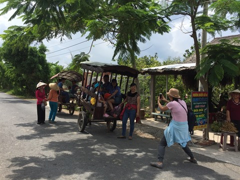 Les circuits fluviaux séduisent les touristes pendant les fêtes ảnh 2