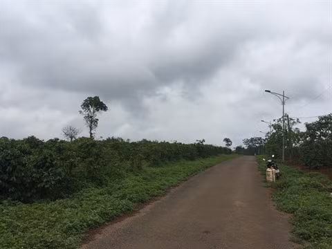 À la découverte de Khe Sanh ảnh 5