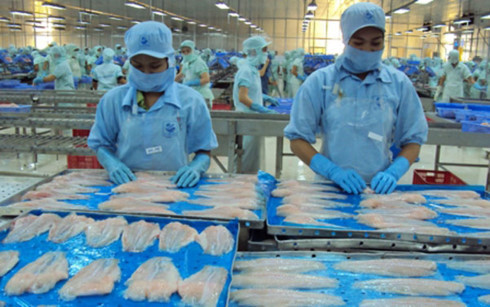 Recul des exportations vietnamiennes de pangasius aux Etats-Unis et en UE ảnh 1