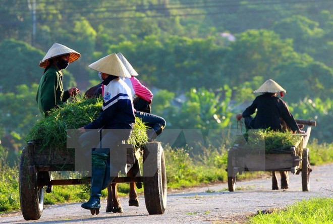 L’IFAD évalue la mise en œuvre du projet ADM à Tra Vinh ảnh 1 L’IFAD évalue la mise en œuvre du projet ADM à Tra Vinh ảnh 1