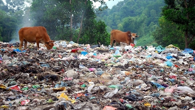 Le Vietnam lance une ligne téléphonique pour signaler les pollutions ảnh 1 Le Vietnam lance une ligne téléphonique pour signaler les pollutions ảnh 1