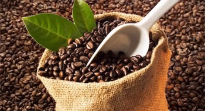 Café : le volume des exportations en baisse de près de 23% depuis janvier ảnh 1