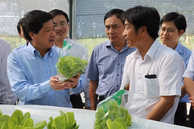De nombreux obstacles pour le développement d’une agriculture high-tech ảnh 4