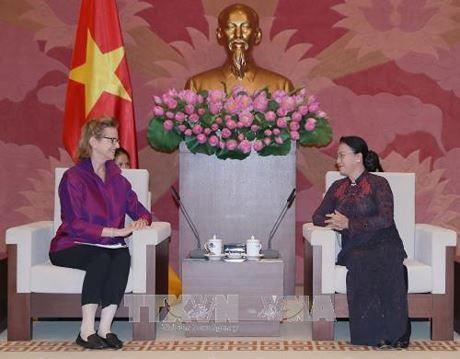 Le Vietnam estime l’assistance du PNUD à son développement socioéconomique ảnh 1 Le Vietnam estime l’assistance du PNUD à son développement socioéconomique ảnh 1