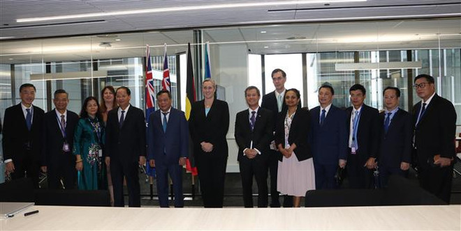 Hanoï promeut sa coopération avec la Nouvelle-Galles du Sud (Australie) ảnh 1