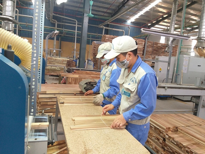 Les exportations nationales de produits sylvicoles ciblent 11 milliards de dollars ảnh 1 Les exportations nationales de produits sylvicoles ciblent 11 milliards de dollars ảnh 1