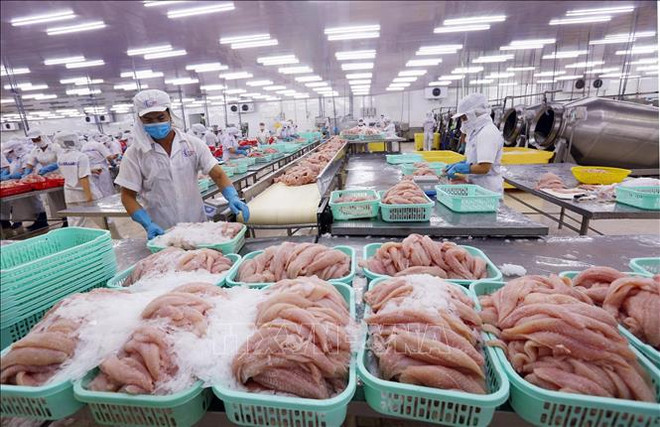 Les exportations des produits aquatiques prévues d’atteindre 10 milliards de dollars cette année ảnh 1 Les exportations des produits aquatiques prévues d’atteindre 10 milliards de dollars cette année ảnh 1