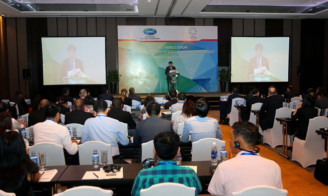 L'APEC discute de mesures visant à renforcer l'accès des PME aux sources de fonds ảnh 1 L'APEC discute de mesures visant à renforcer l'accès des PME aux sources de fonds ảnh 1