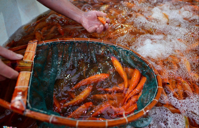 Quand les Génies quittent leur foyer pour le ciel….. ảnh 3