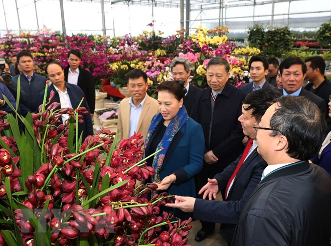 La présidente de l’AN Nguyen Thi Kim Ngan visite Hung Yên ảnh 1 La présidente de l’AN Nguyen Thi Kim Ngan visite Hung Yên ảnh 1
