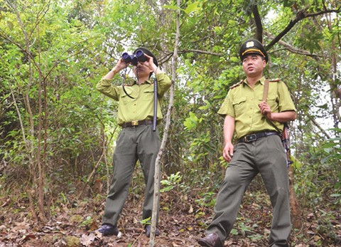 Des gardes forestiers protègent la vie sauvage à Dông Son - Ky Thuong ảnh 2 Des gardes forestiers protègent la vie sauvage à Dông Son - Ky Thuong ảnh 2