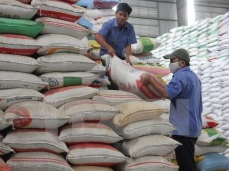 Octroi gratuit de plus de 1.000 tonnes de riz à Phu Yên ảnh 1 Octroi gratuit de plus de 1.000 tonnes de riz à Phu Yên ảnh 1