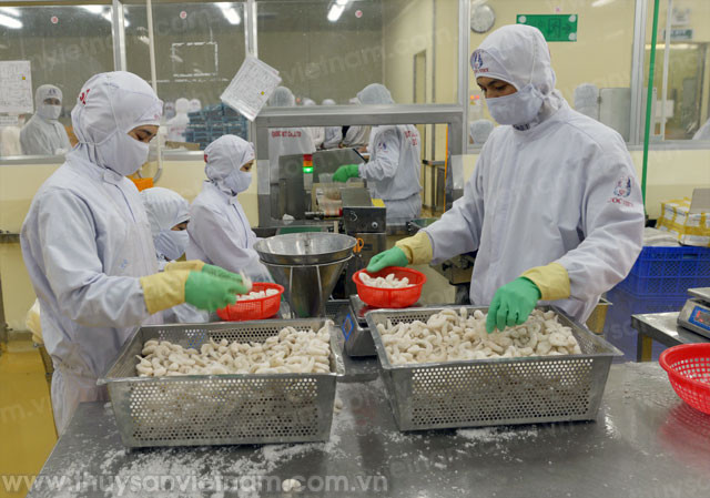 Filière des produits aquatiques: 7,2 milliards de dollars d’exportation en 10 mois ảnh 1 Filière des produits aquatiques: 7,2 milliards de dollars d’exportation en 10 mois ảnh 1