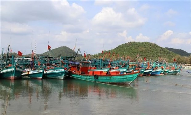 Ba Ria-Vung Tau impose de lourdes amendes aux navires violant les règles de lutte contre la pêche INN ảnh 1 Ba Ria-Vung Tau impose de lourdes amendes aux navires violant les règles de lutte contre la pêche INN ảnh 1