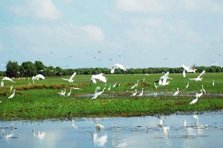 Dong Thap Muoi durant la saison des crues : un enchantement ảnh 1