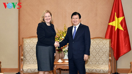 Le vice-PM Trinh Dinh Dung reçoit les ambassadeurs russe et irlandais ảnh 2 Le vice-PM Trinh Dinh Dung reçoit les ambassadeurs russe et irlandais ảnh 2