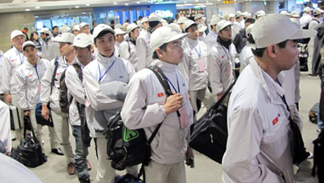 Plus de 22.500 travailleurs vietnamiens envoyés à l’étranger au 1er trimestre ảnh 1