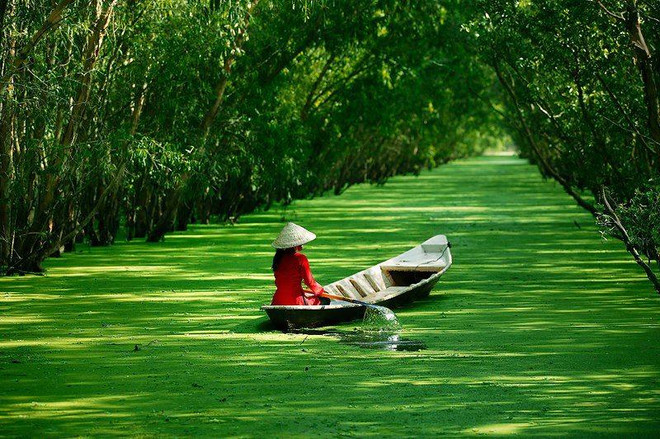 Plus de 700 milliards de dongs pour la zone touristique de Tra Su (An Giang) ảnh 1 Plus de 700 milliards de dongs pour la zone touristique de Tra Su (An Giang) ảnh 1
