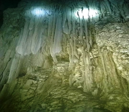Découverte d’une nouvelle grotte à Phong Nha - Ke Bàng ảnh 1 Découverte d’une nouvelle grotte à Phong Nha - Ke Bàng ảnh 1