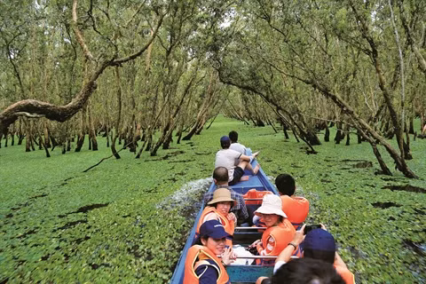 Découvrez le delta du Mékong durant la saison des pluies ảnh 1