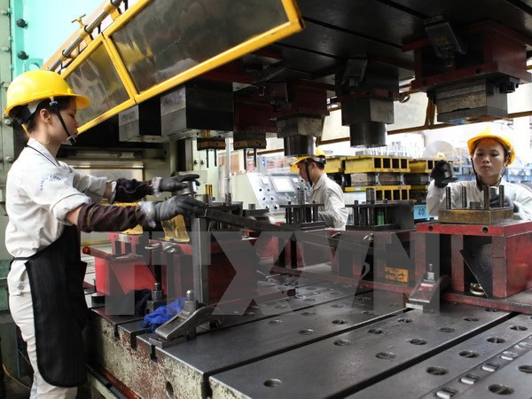 Le privé, moteur du développement économique ảnh 1