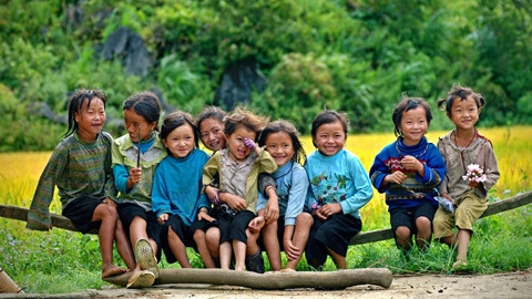 L’ONU aide le Vietnam à améliorer la sécurité alimentaire et la nutrition ảnh 1 L’ONU aide le Vietnam à améliorer la sécurité alimentaire et la nutrition ảnh 1