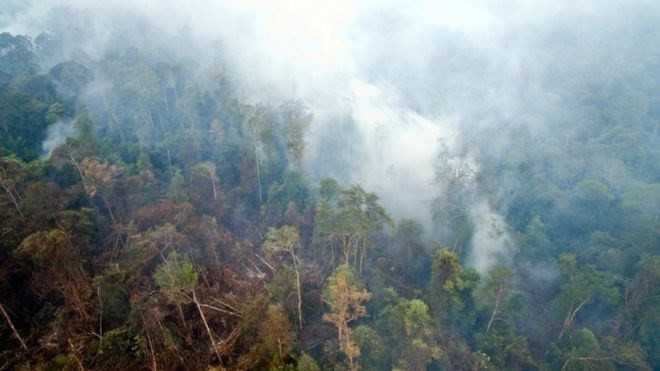 Fumées âcres : la Thaïlande travaille avec l'Indonésie ảnh 1 Fumées âcres : la Thaïlande travaille avec l'Indonésie ảnh 1