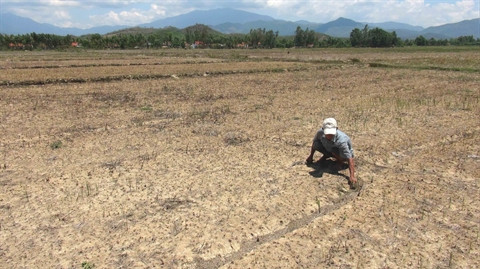 Sécheresse redoutée dans le Nord et le Tây Nguyên en raison d’El Niño ảnh 1 Sécheresse redoutée dans le Nord et le Tây Nguyên en raison d’El Niño ảnh 1