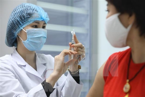 COVID-19 : onze nouveaux cas détectés mardi après-midi ảnh 1