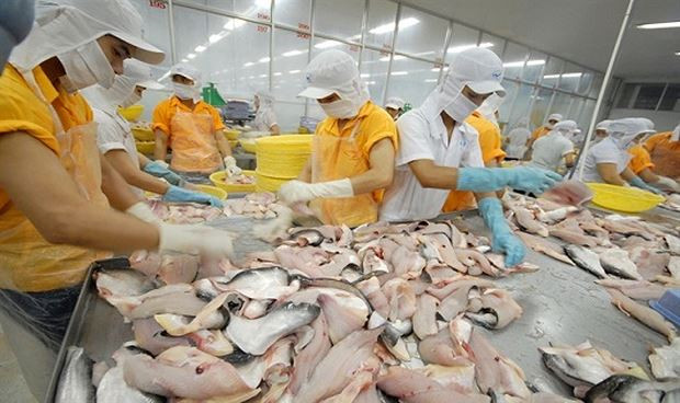 Accélérer les exportations des produits aquatiques vers le Brésil ảnh 1 Accélérer les exportations des produits aquatiques vers le Brésil ảnh 1