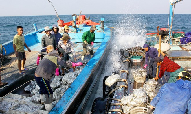 Aquaculture : le Vietnam adhère à l’accord PSMA de la FAO ảnh 1 Aquaculture : le Vietnam adhère à l’accord PSMA de la FAO ảnh 1