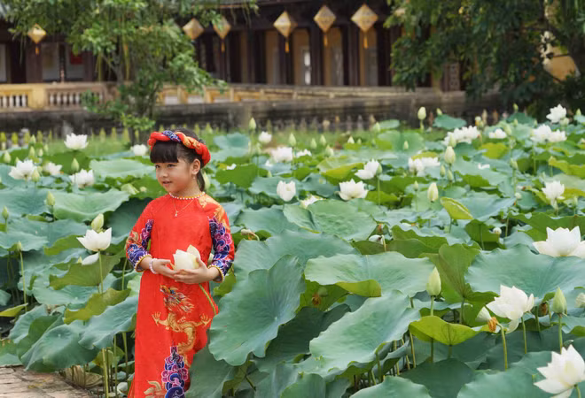 Une variété précieuse de lotus blancs se développe à Dai Noi ảnh 4