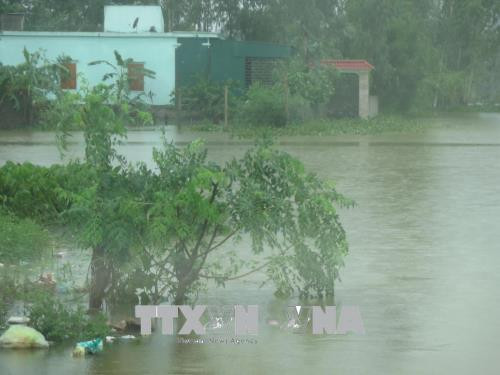 La tempête Son Tinh s’est affaiblie en dépression tropicale ảnh 1 La tempête Son Tinh s’est affaiblie en dépression tropicale ảnh 1