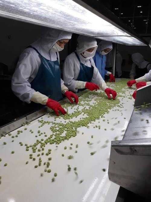 Création de 885 nouvelles entreprises agricoles au premier semestre ảnh 1 Création de 885 nouvelles entreprises agricoles au premier semestre ảnh 1