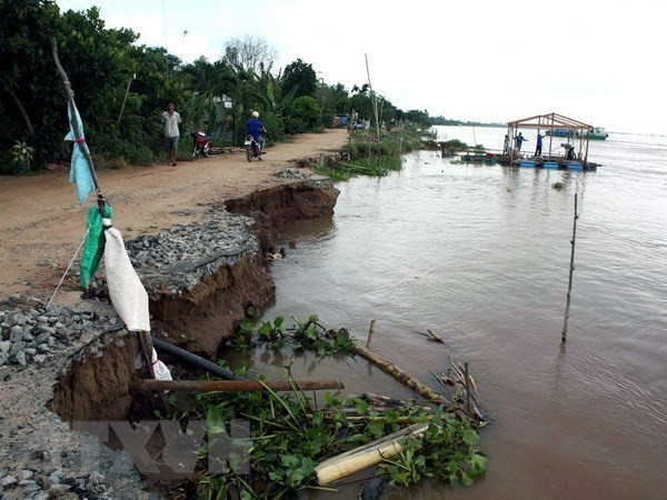 Le Fonds vert pour le climat financera un projet du delta du Mékong ảnh 1 Le Fonds vert pour le climat financera un projet du delta du Mékong ảnh 1