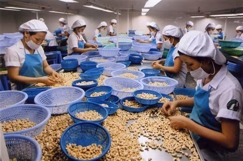  Inde: marché potentiel pour les marchandises vietnamiennes ảnh 1