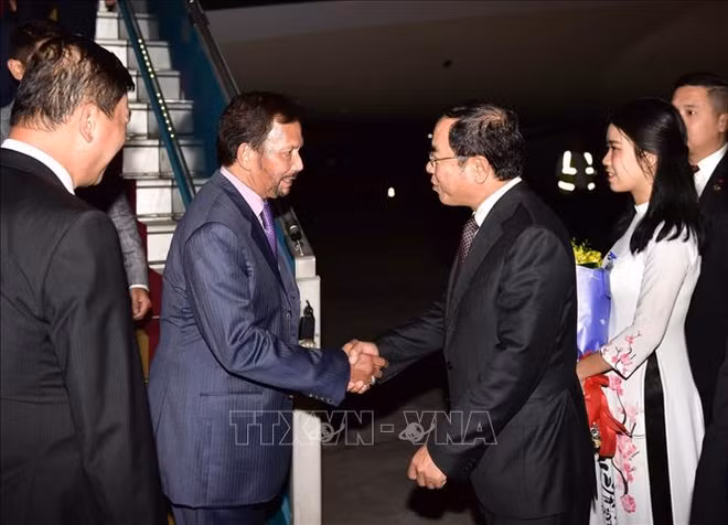Le sultan du Bruneï entame sa visite d’Etat au Vietnam ảnh 1