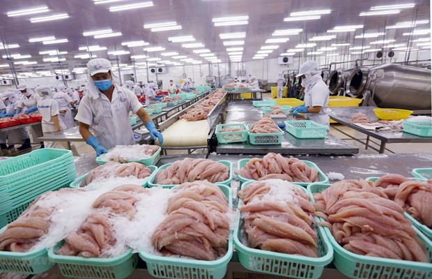 Les exportations de produits aquatiques poursuivent leur progression ảnh 1 Les exportations de produits aquatiques poursuivent leur progression ảnh 1