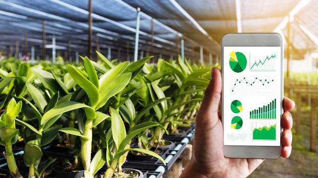 La transformation numérique, une tendance incontournable pour l'agriculture vietnamienne ảnh 1 La transformation numérique, une tendance incontournable pour l'agriculture vietnamienne ảnh 1