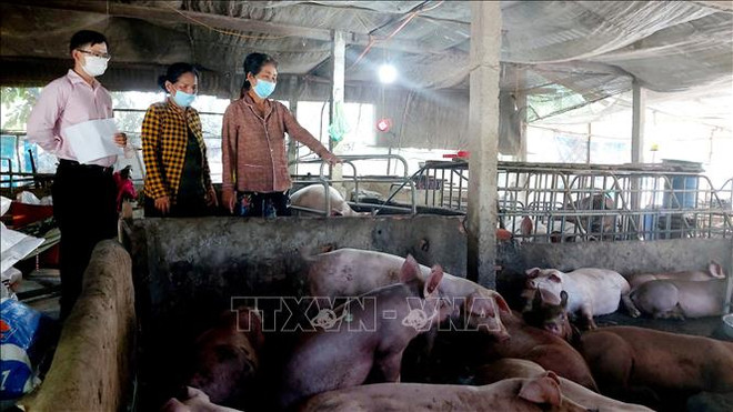 Plus de 2 millions de ménages pauvres ont accès à des prêts de la Banque des politiques sociales ảnh 1 Plus de 2 millions de ménages pauvres ont accès à des prêts de la Banque des politiques sociales ảnh 1