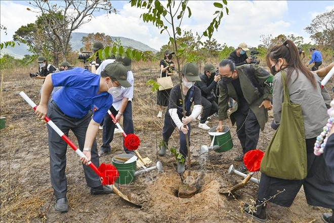 Binh Thuan plante un millier d’arbres dans la réserve naturelle de Ta Cu ảnh 1 Binh Thuan plante un millier d’arbres dans la réserve naturelle de Ta Cu ảnh 1