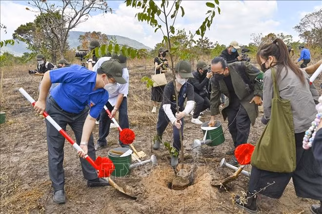 Binh Thuan plante un millier d’arbres dans la réserve naturelle de Ta Cu ảnh 1 Binh Thuan plante un millier d’arbres dans la réserve naturelle de Ta Cu ảnh 1