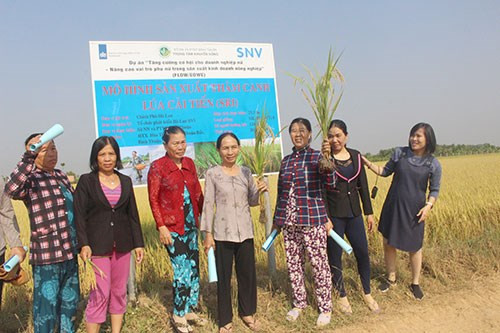 Un projet financé par les Pays-Bas aide les femmes de Binh Thuan dans la production agricole ảnh 1