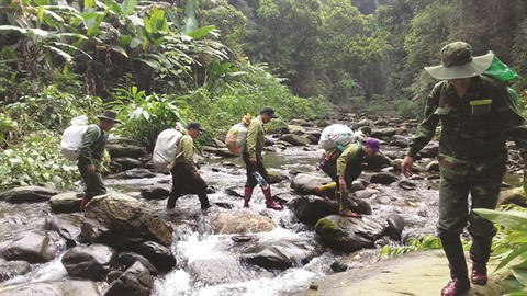 À la rescousse des animaux sauvages pris au piège ảnh 1 À la rescousse des animaux sauvages pris au piège ảnh 1
