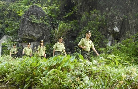 Vietnam et Laos renforcent la coopération en matière sylvicole ảnh 1 Vietnam et Laos renforcent la coopération en matière sylvicole ảnh 1