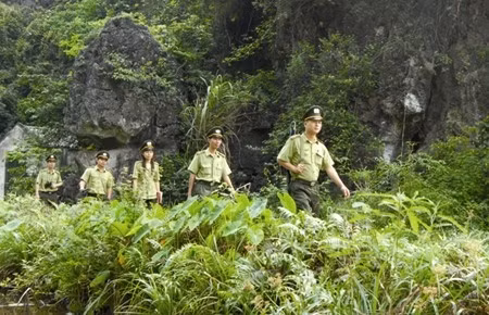 Vietnam et Laos renforcent la coopération en matière sylvicole ảnh 1