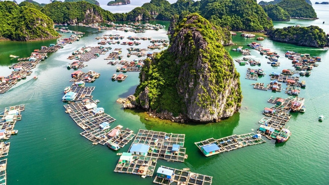 La baie de Ha Long, l’une des meilleures destinations de l’Asie du Sud-Est ảnh 1 La baie de Ha Long, l’une des meilleures destinations de l’Asie du Sud-Est ảnh 1
